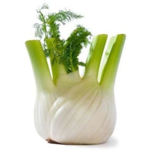FRISCO FRESH Koper włoski fennel 1 szt.