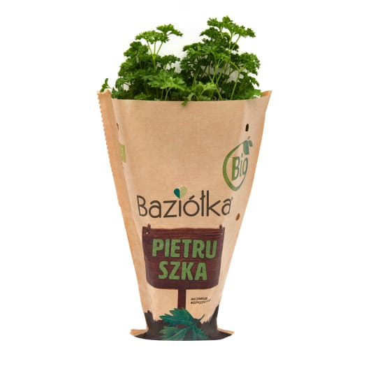 BAZIÓŁKA Pietruszka BIO