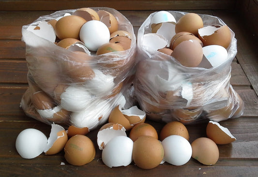 Skorupki Jaj: Praktyczne Zastosowanie w Ekologicznym Gospodarstwie Domowym