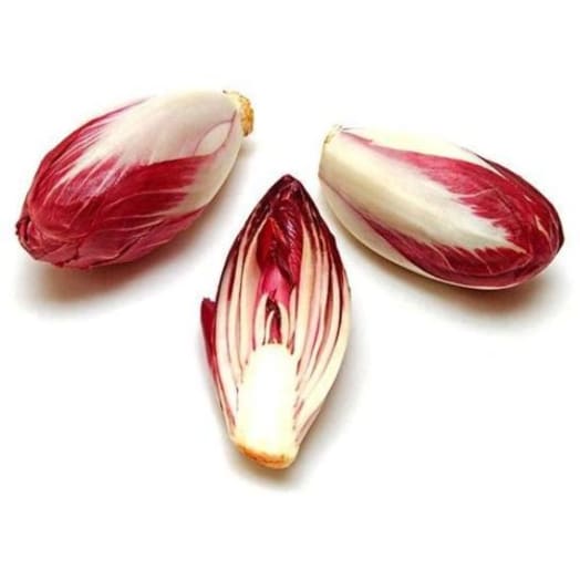 FRISCO FRESH Cykoria czerwona