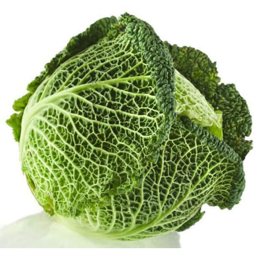 FRISCO ORGANIC Kapusta włoska BIO