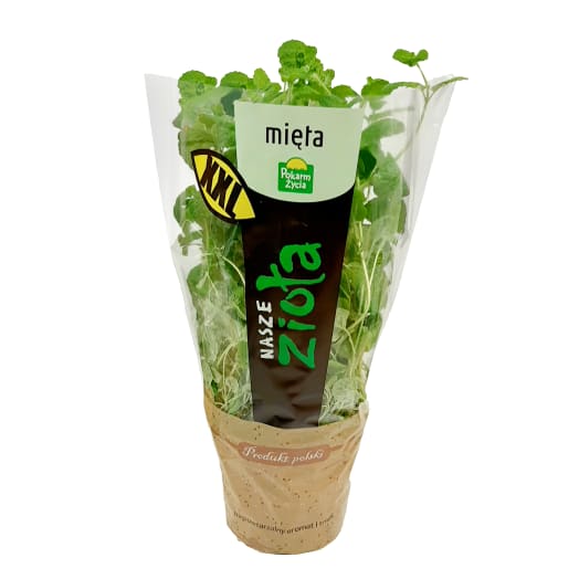 POKARM ŻYCIA Zioła Mięta XXL